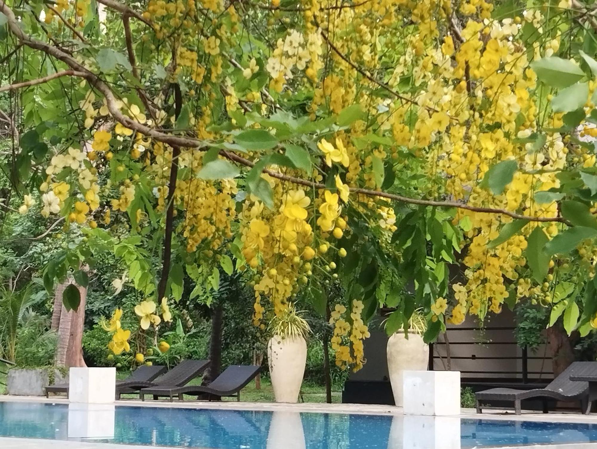 Athena Lake By Seedevi Dambulla Exterior photo
