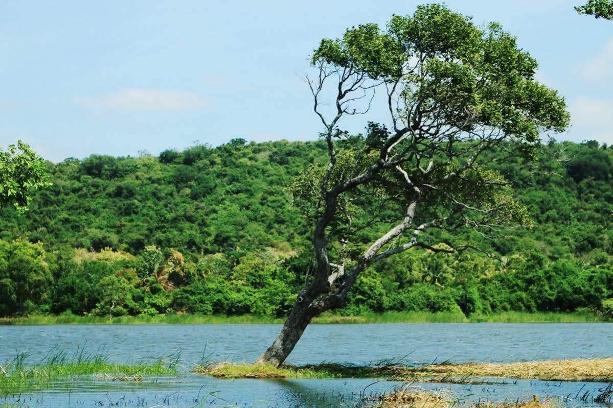 Athena Lake By Seedevi Dambulla Exterior photo